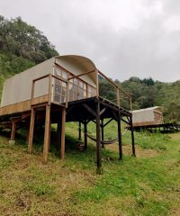 ‘BIRDGLAMPING’ – Salento Quindío