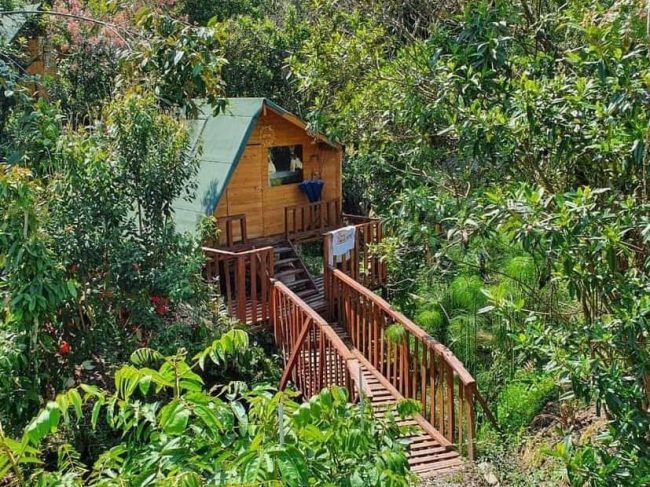 ‘Glamping Pigmalion’ en Santa Elena – Antioquia