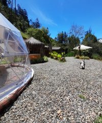 ‘Isla Montaña Glamping’ – Fomeque Cundinamarca