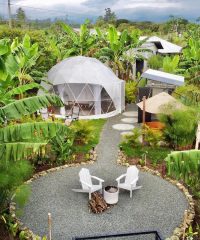 ‘Orange Glamping’ – Quimbaya, Quindío