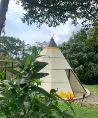 ‘El Refugio del Bosque’ – Vereda Payacal Cundinamarca